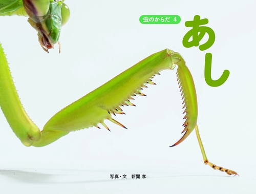 あし