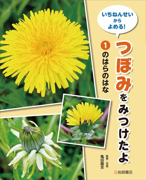 のはらのはな