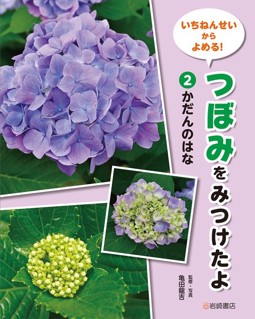 かだんのはな