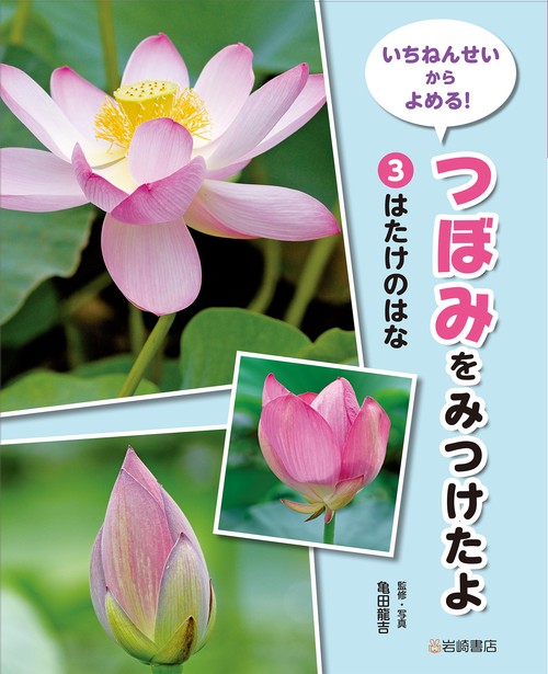 はたけのはな