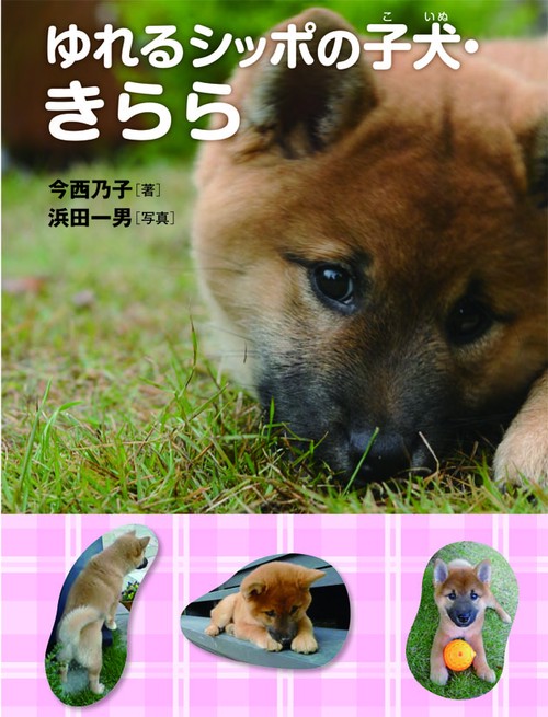 ゆれるシッポの子犬・きらら
