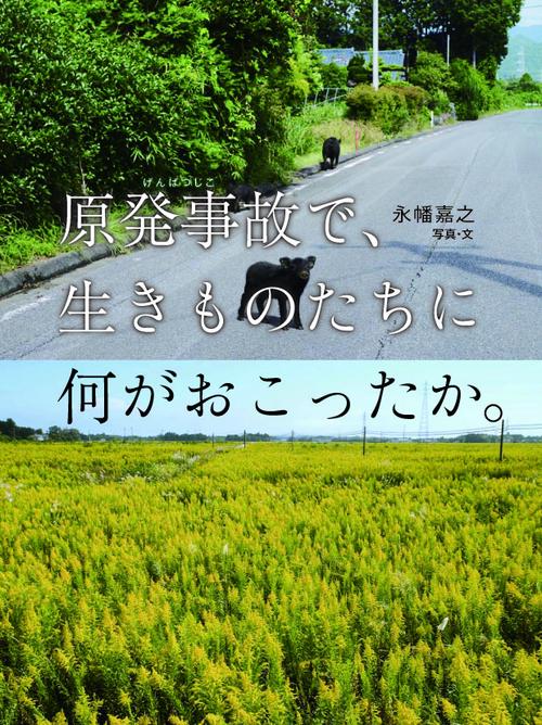 原発事故で、生きものたちに何がおこったか。