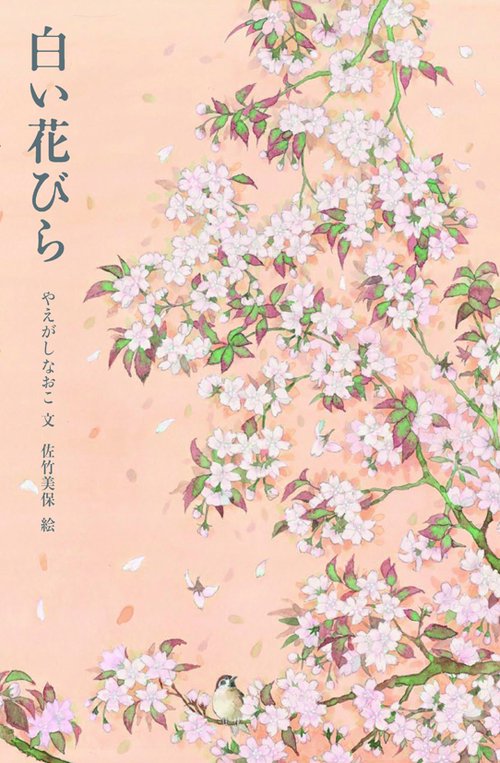 白い花びら