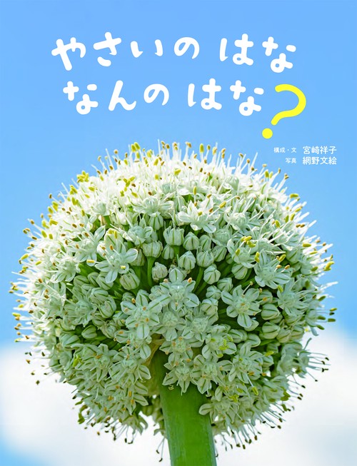 やさいのはな　なんのはな？
