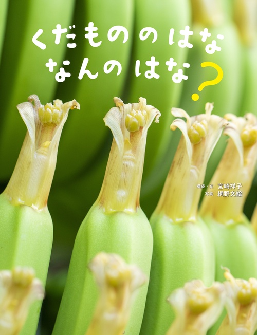 くだもののはな　なんのはな？