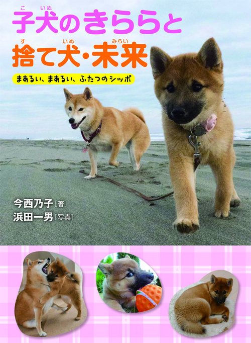 子犬のきららと捨て犬・未来 まあるい、まあるい、ふたつのシッポ