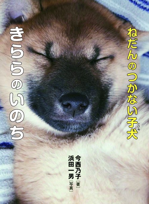 ねだんのつかない子犬きららのいのち