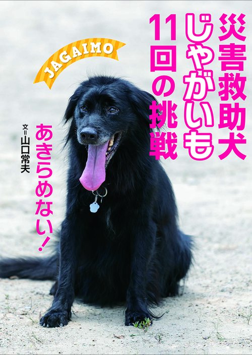 災害救助犬じゃがいも　11回の挑戦