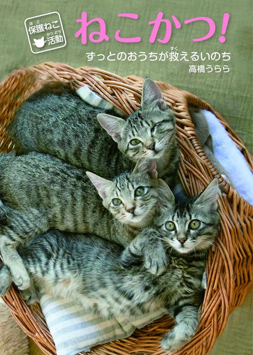 保護ねこ活動　ねこかつ！ずっとのおうちが救えるいのち