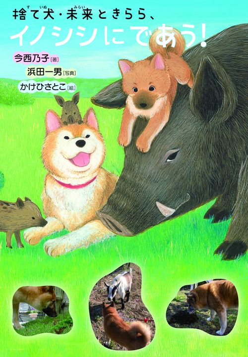 捨て犬・未来ときらら、イノシシにであう！