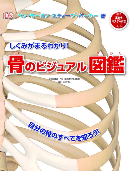 しくみがまるわかり!骨のビジュアル図鑑 自分の骨のすべてを知ろう!