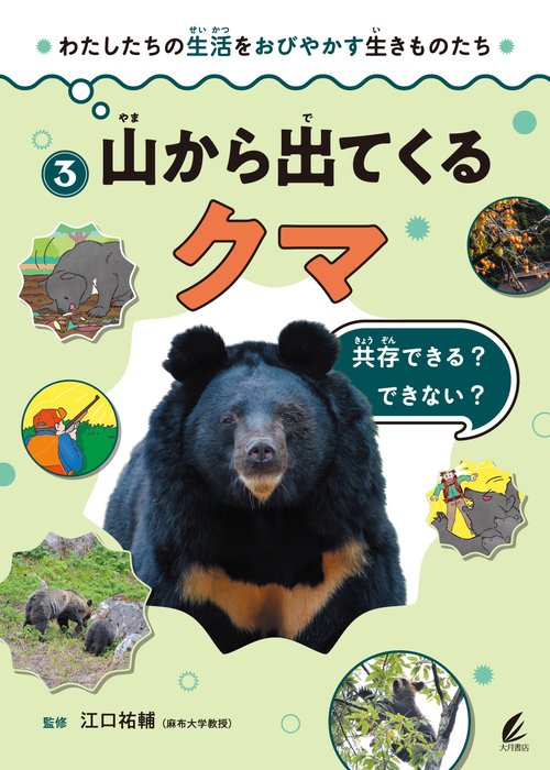 山から出てくるクマ 3