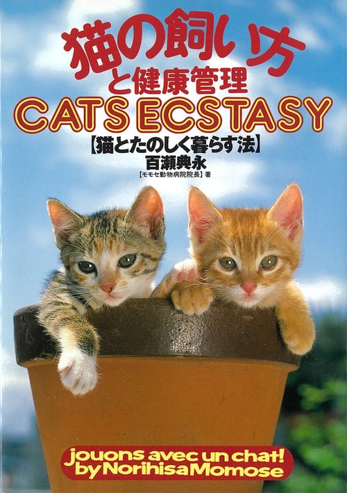 猫の飼い方と健康管理