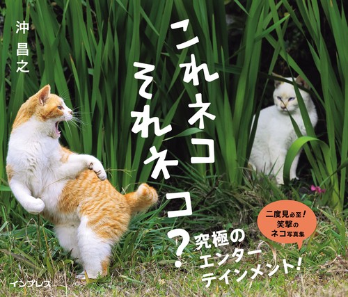 これネコ　それネコ？