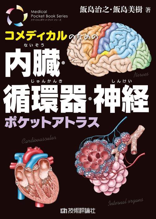 コメディカルのための　内臓・循環器・神経ポケットアトラス