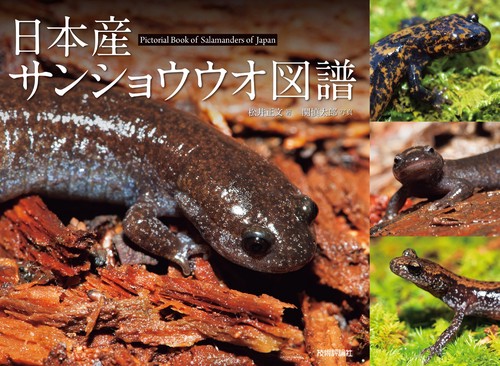 日本産サンショウウオ図譜 – 丸善ジュンク堂書店ネットストア