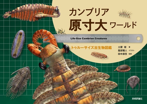 カンブリア原寸大ワールド ― トゥルーサイズ古生物図鑑