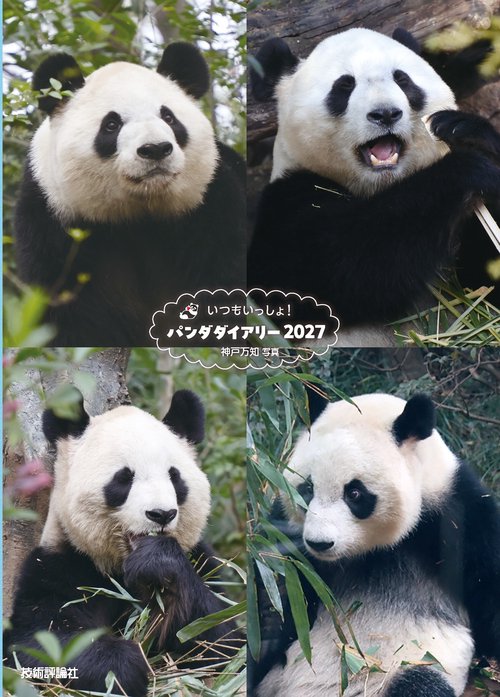いつもいっしょ！　パンダダイアリー 2027