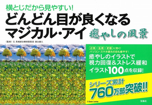 横とじだから見やすい! どんどん目がよくなるマジカル・アイ 癒やしの風景