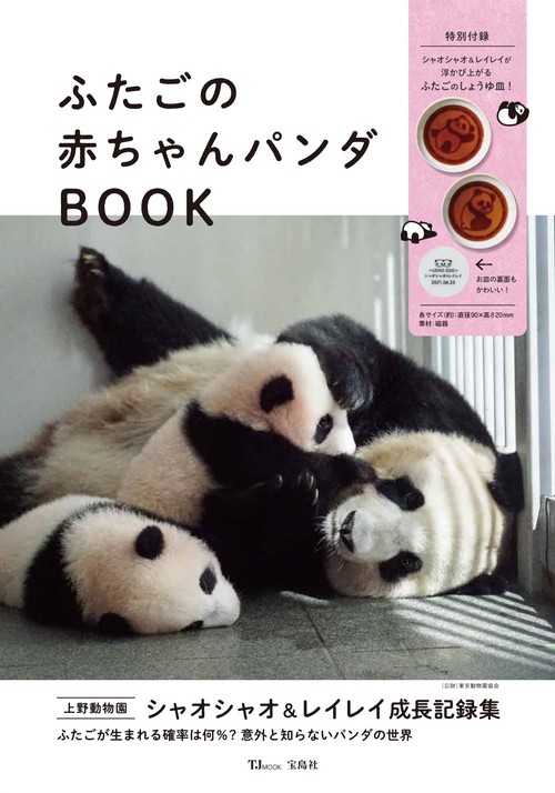 ふたごの赤ちゃんパンダBOOK