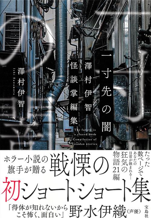 一寸先の闇 澤村伊智怪談掌編集
