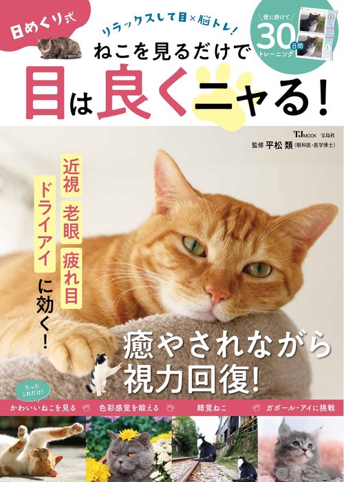 日めくり式 ねこを見るだけで目は良くニャる!
