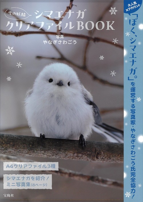 雪の妖精 シマエナガクリアファイルBOOK