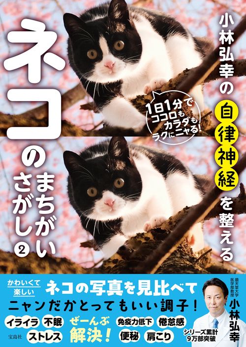 小林弘幸の自律神経を整えるネコのまちがいさがし2