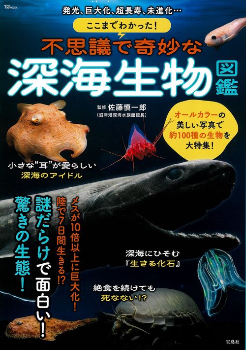 ここまでわかった! 不思議で奇妙な深海生物図鑑