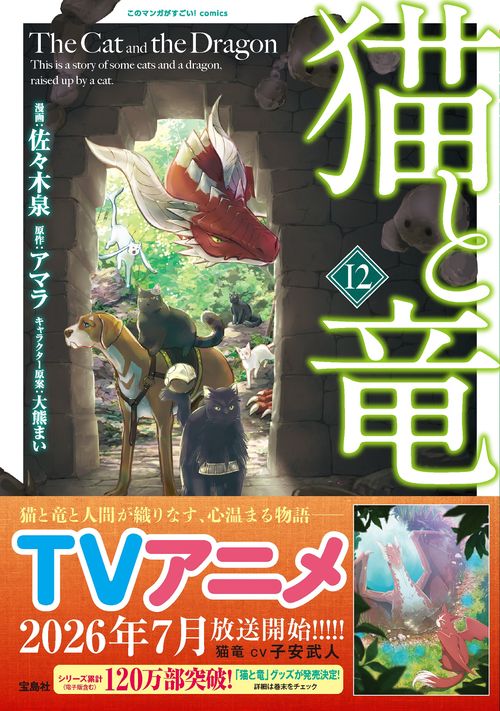 猫と竜（12）