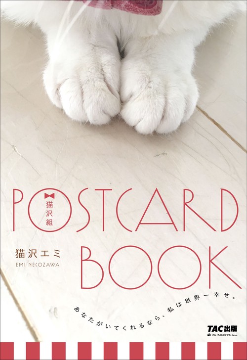 猫沢組POSTCARDBOOK