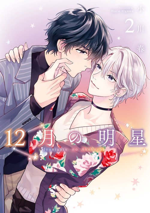 12月の明星（2）(完)
