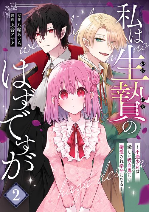 私は生贄のはずですが～不遇少女は優しい吸血鬼に溺愛され幸せになる～（2）