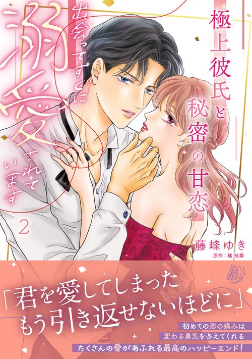 極上彼氏と秘密の甘恋～出会ってすぐに溺愛されています～ ２