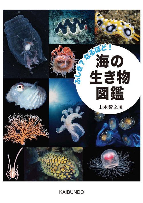 ふしぎ？なるほど！ 海の生き物図鑑