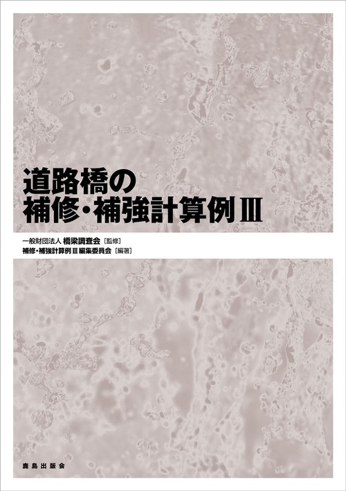 道路橋の補修・補強計算例 3