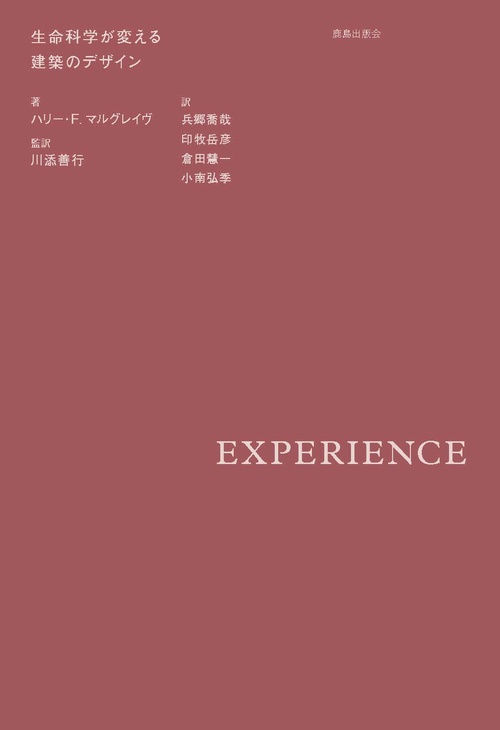 EXPERIENCE