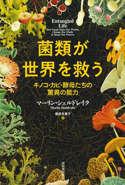菌類が世界を救う