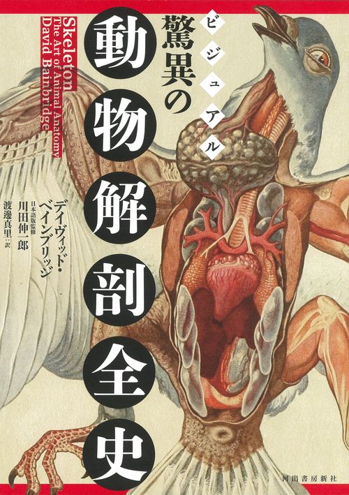 ビジュアル　驚異の動物解剖全史
