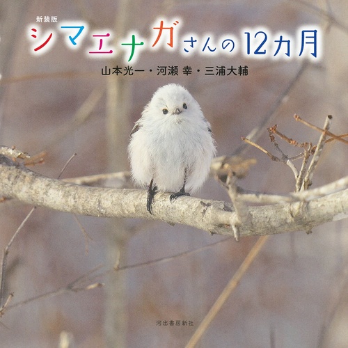 シマエナガさんの１２カ月　新装版