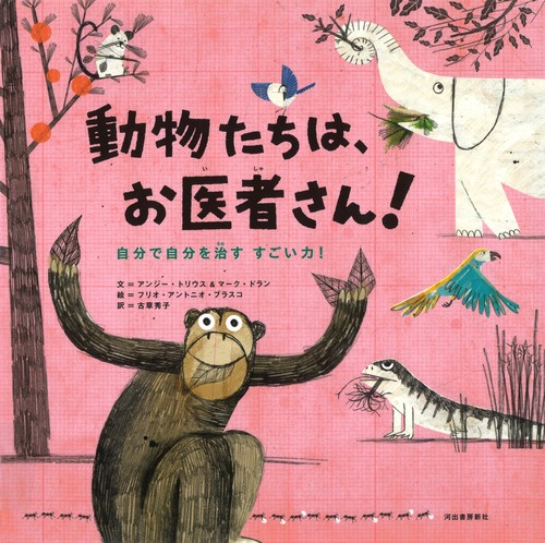 動物たちは、お医者さん! 自分で自分を治すすごい力!