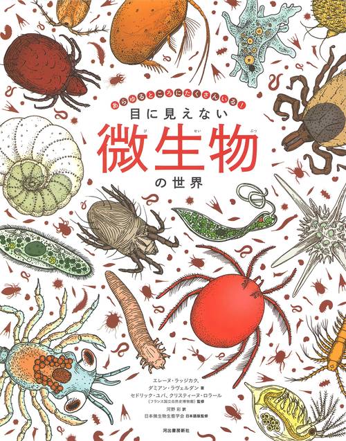 目に見えない微生物の世界 あらゆるところにたくさんいる!