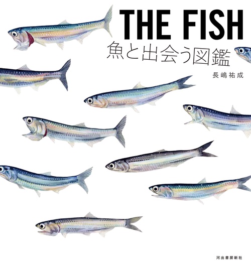 ＴＨＥ　ＦＩＳＨ　魚と出会う図鑑