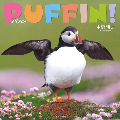 パフィン！