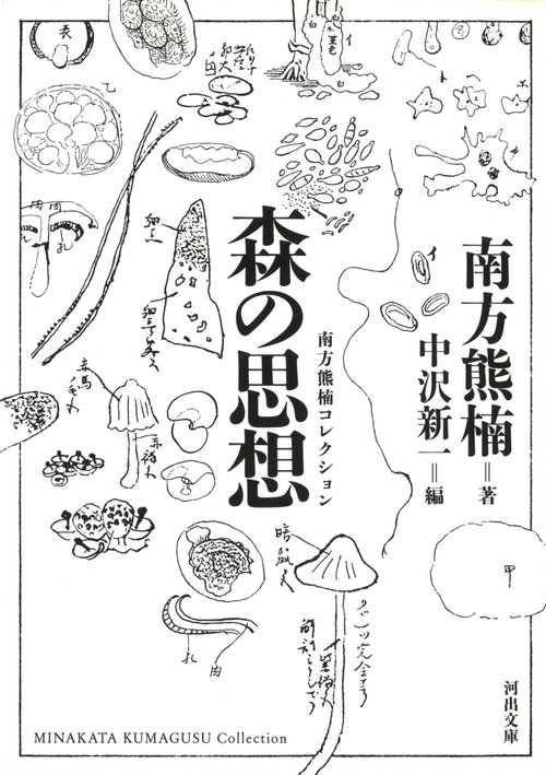 森の思想