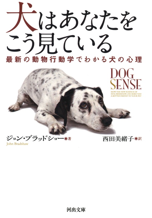 犬はあなたをこう見ている