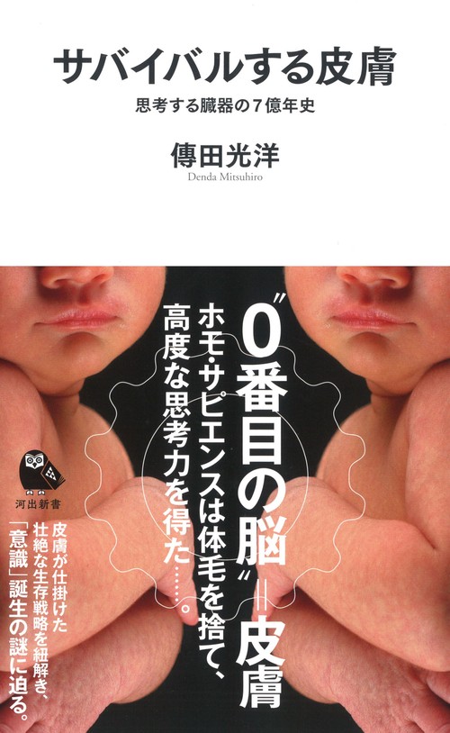 サバイバルする皮膚