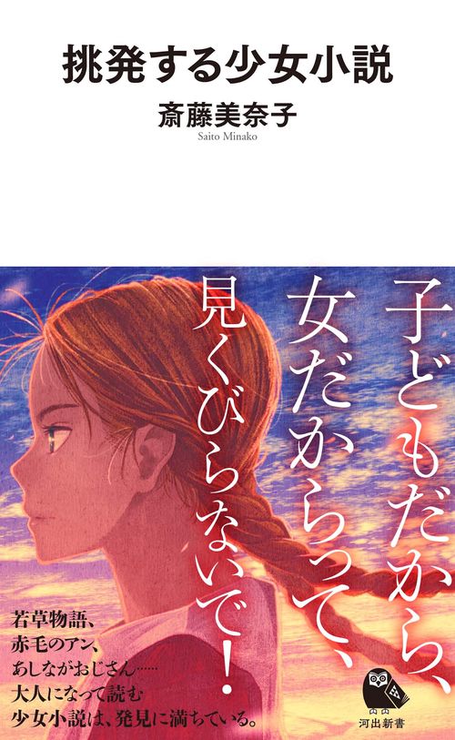 挑発する少女小説