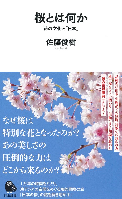 桜とは何か