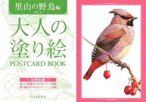 大人の塗り絵　ＰＯＳＴＣＡＲＤ　ＢＯＯＫ　里山の野鳥編